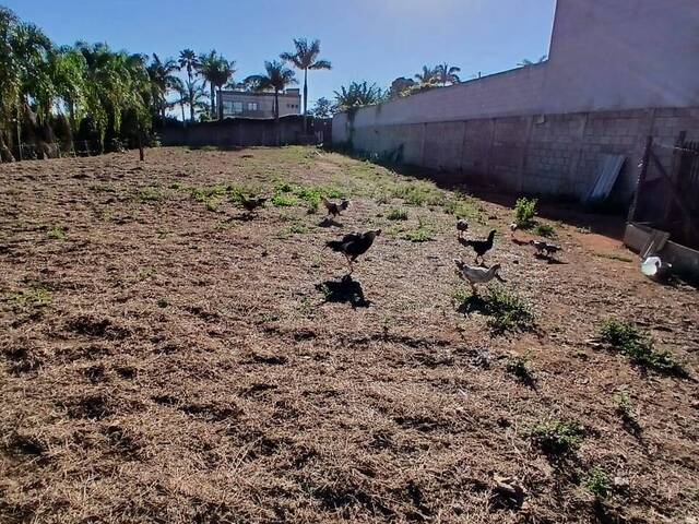 Área para Venda em Itupeva - 4